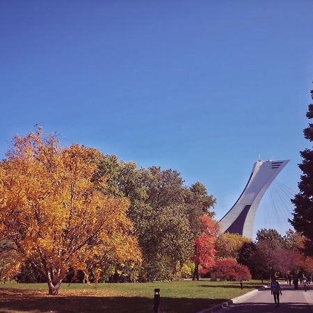 Homa Homestay Hotel By Olympic Stadium Montreal Auberge-Hostel Eksteriør billede